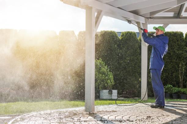 Best Solar Panel Cleaning  in Benton Heights, MI